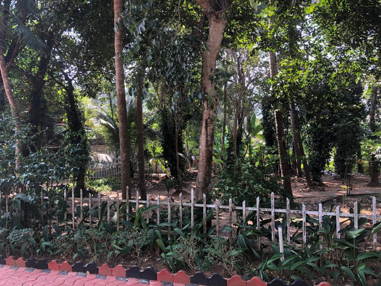 Ayuryogashram Heritage Thrissur Екстер'єр фото